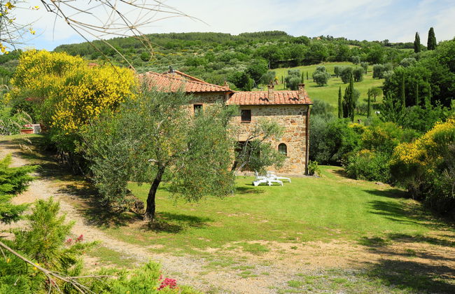 Poggio Velluto - Foto 50