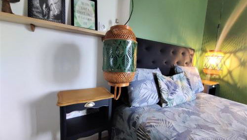 Appartement T2 "JUNGLE" Centre Ville de VITRÉ au calme coté cour - Foto 4