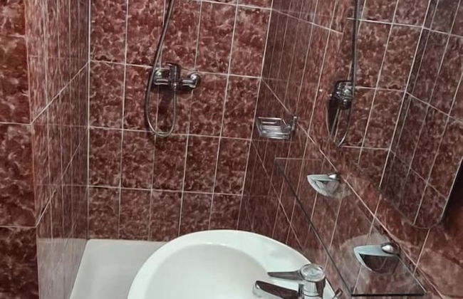 Olive Garden Apartments Petrovic - Foto 25