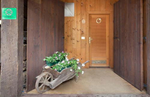 Albergo Diffuso Sauris in Sauris Di Sopra - Photo 20