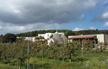 Masseria Torricella - Foto 66