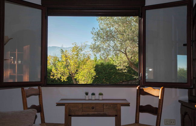 Finca La Sayuela - Foto 57