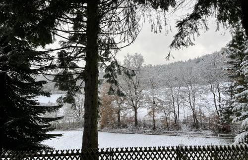 Apartment im Wald - mit Schwimmbad! - Foto 31