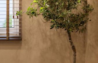 Rustic Boutique Apartment with Live Olive Tree & Private Parking - Photo 21