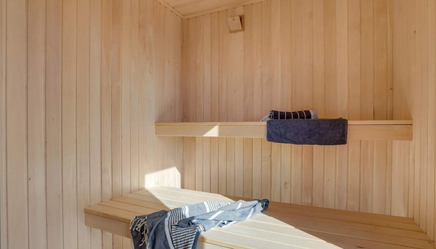5 Star Holiday Home in Henne - Foto 4, Sauna