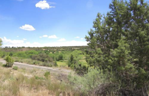 Secluded Cabin w Coffee Mount Abajo and Golf Views - Foto 31