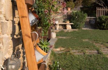 Meltemi Tinos - Foto 28