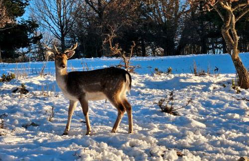 La Grange d'Anthounin - Foto 15