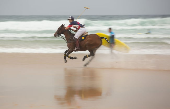 White Lodge Apartments - Foto 45