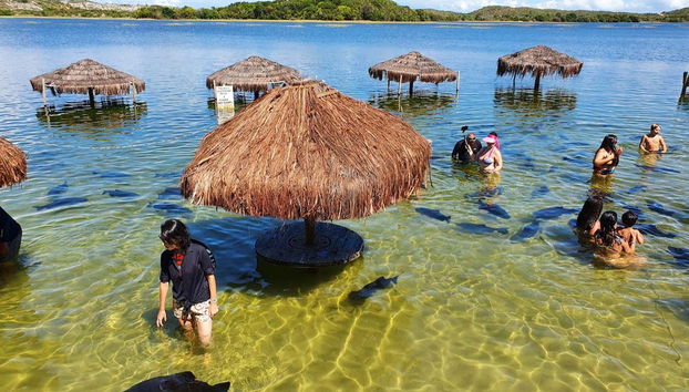 Visitando la lagoa dos Tambaquis