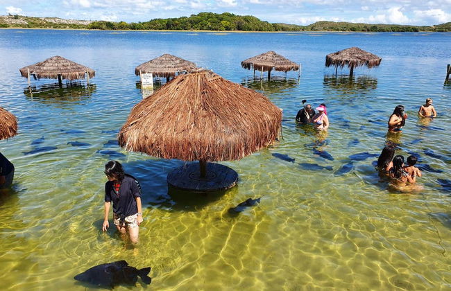 Excursion à la plage du Saco et à la lagune des Tambaquis - Photo 5
