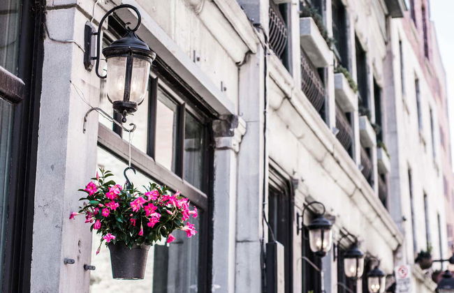 Tour privado por Montreal - Foto 5