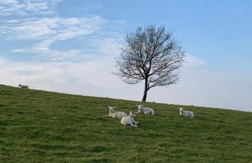 Cotswold Thatched Cottage - Photo 53