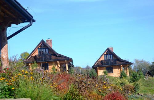 Sokolisko - domki całoroczne z kominkiem - Foto 16