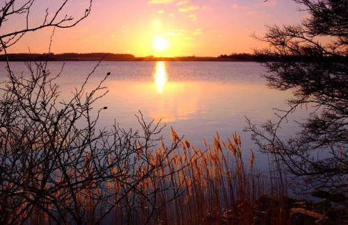 Trautes Heim Ferienwohnung Süd - Foto 13