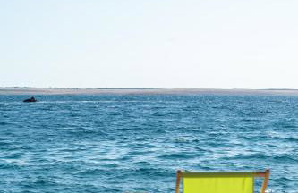 SeVeN Holiday home - Barefoot by the Sea, Velebit, Nature - Photo 15