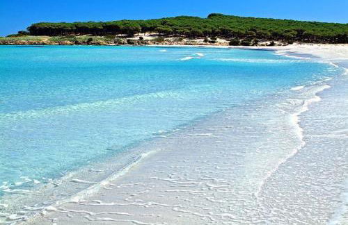 Domo de Mare - Foto 18