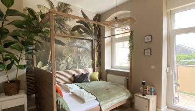 K2-Project - Dschungel-Abenteuer - Foto 5