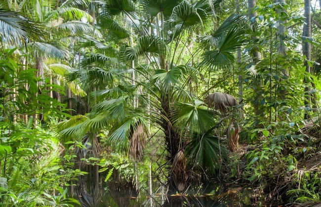 Sanctuary in The Pocket - Foto 67