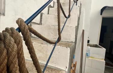 Fichi d india - Foto 3