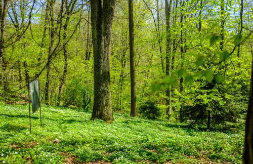 Dom w Jaśminach - Foto 12