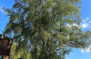 Wild Spa Cottage - Foto 10