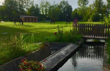 Agriturismo Helianthus - Foto 6