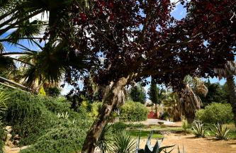 Folco Studio Apartment - Foto 11