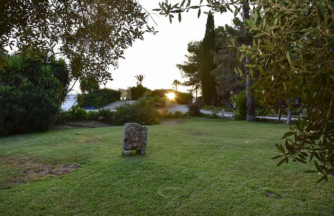 Tenuta Terenzano - Photo 18