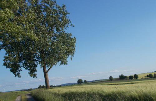 Natur Und Ruhe - Für Ruhe Suchende - Foto 7