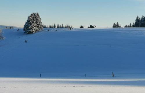 Auszeit, Erholung mitten in der Natur - Ferienhaus im Sauerland in Faulebutter - Foto 27