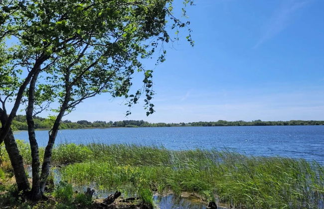 Holiday Home in Ansager - Photo 36