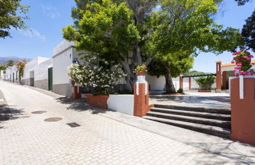 Live Arico El Mirador - Foto 32