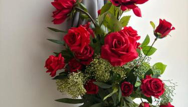 Magnolia duplex - Photo 3