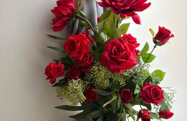 Magnolia duplex - Photo 3