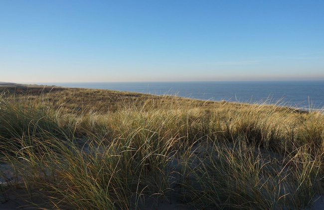 Holiday Home in Noordwijk Near Beach - Photo 21