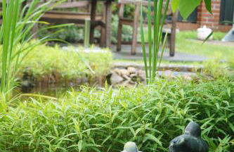 Spreewald-Domizil - Foto 10