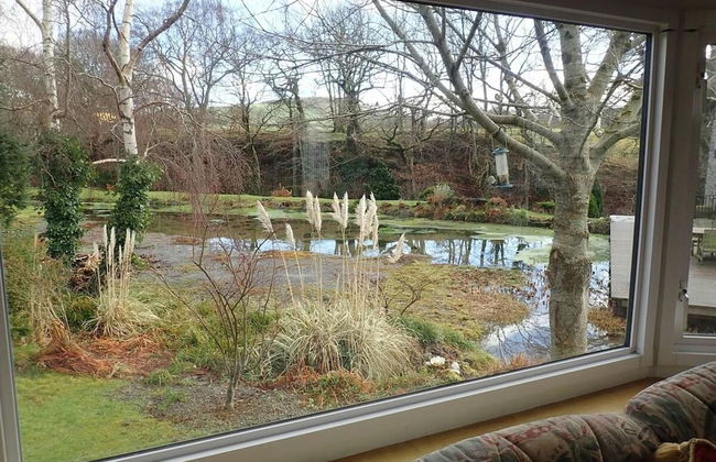 Millpond Chalet Retreat in Machynlleth - Foto 11