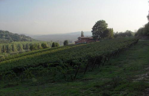 Podere Chiaromonte - Foto 45