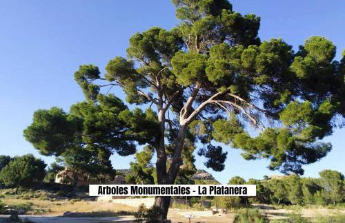 Apartalux de la Cruz - Foto 14