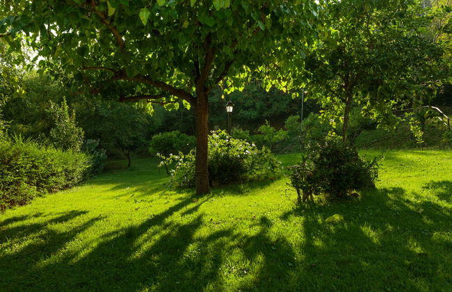 Agriturismo La Vecchia Quercia - Photo 59