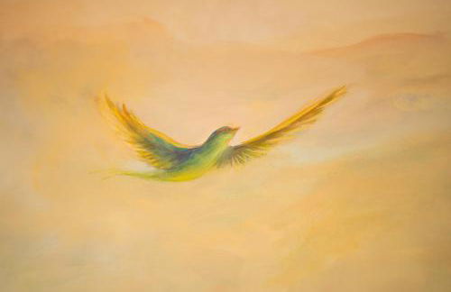 MirAntium - Anzio - Santa Teresa - Photo 20