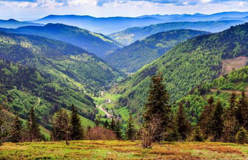 Abnoba Mons Design Apartment Lenzkirch - Photo 24