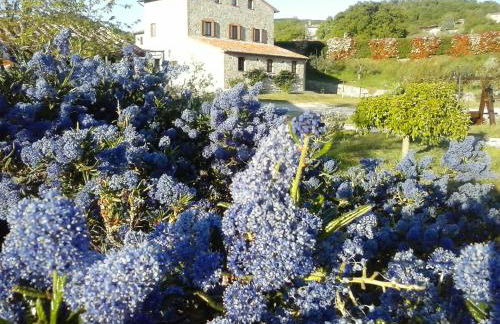 Agriturismo Valiana - Foto 7