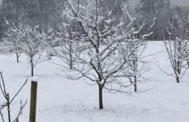 Strandsegård Ferielejligheder - Foto 57