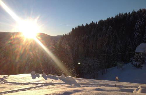 The Moosbach Garden - Foto 28