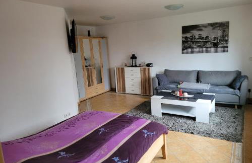 Schöne gemütliche Ferienwohnung im Hunsrück - Foto 1
