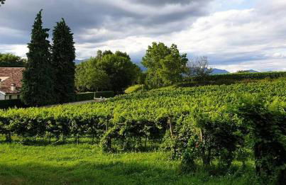 Agriturismo l'Eremo - Foto 1