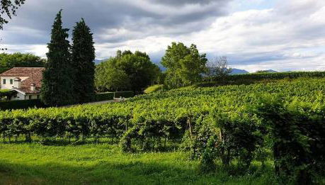 Agriturismo l'Eremo - Foto 1