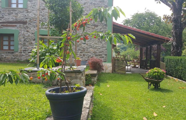 La Pumarada de Limés - Photo 34